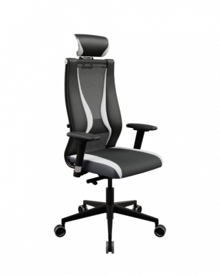 Кресло Ergolife SynchroSit 10 B2-170D - T+UMF(SY271)+Extra /Kb38/Wh09/D03P/H13mL-Pf-3D(M24.B11.G19.W34) (МЕТТА/METTA)