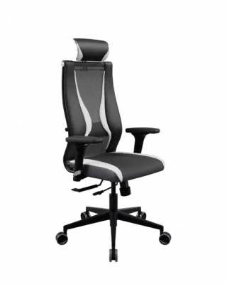 Кресло Ergolife SynchroSit 10 B2-170D - T+UMF(SY271)+Extra /Kb38/Wh09/D02P/H13mL-Pf-1DF(M18.B11.G19.W34) (МЕТТА/METTA)