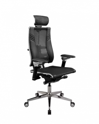 Кресло Yoga Spine Triumph B2