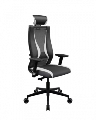 Кресло Ergolife SynchroSit 10 B2-170D - T+UMF(SY271)+Extra /Kb38/Wh09/D03P/H13mL-Pf-3D(M24.B11.G19.W34) (МЕТТА/METTA)