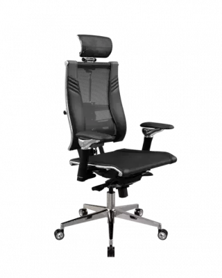 Кресло Yoga Spine Triumph L2 (M06)