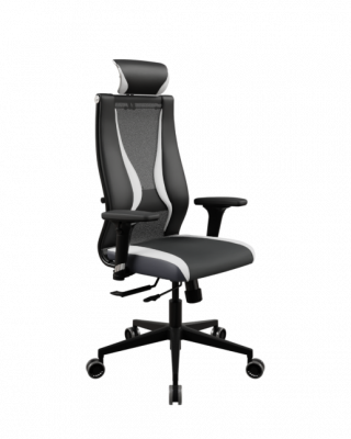 Кресло Ergolife SynchroSit 10 B2-170D - T+UMF(SY271)+Extra /Kb38/Wh09/D02P/H13mL-Pf-1DF(M18.B11.G19.W34) (МЕТТА/METTA)