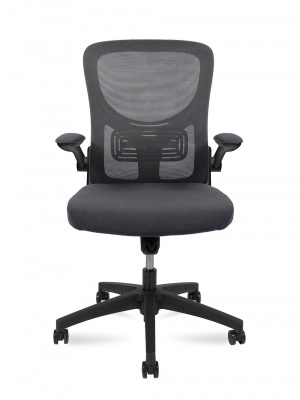 Кресло офисное / Flex / черный пластик / серая сидушка / серая спинка, купить в Сыктывкаре