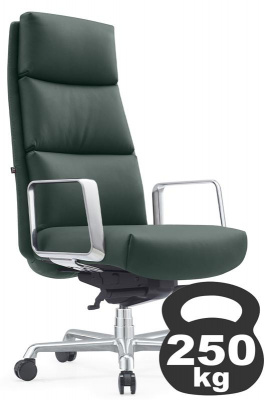 Кресло Newman A2415 Зеленый, купить в Сыктывкаре