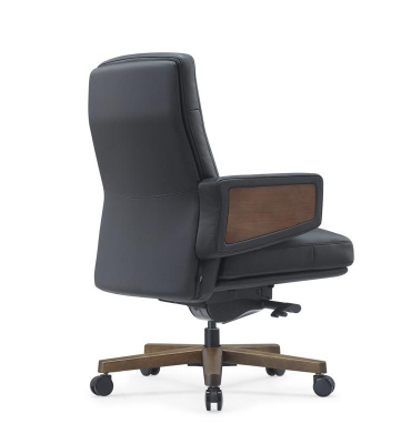 Кресло Rafael-M B2119 Черный, купить в Сыктывкаре