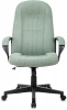 Кресло руководителя Бюрократ T-898 зеленый 38-407 крестов. пластик, купить в Сыктывкаре