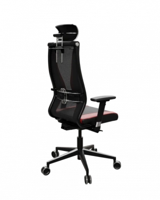 Кресло Ergolife SynchroSit 10 B2-170D - T+UMF(SY271)+Extra /Kb38/Wh09/D03P/H13mL-Pf-2D(M24.B11.G19.W34) (МЕТТА/METTA) — фото, характеристики, наличие в Сыктывкаре