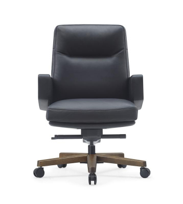 Кресло Rafael-M B2119 Черный — фото, характеристики, наличие в Сыктывкаре