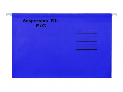 Папки FP FS (1/25-синий) — фото, характеристики, наличие в Сыктывкаре