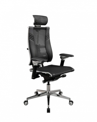 Кресло Yoga Spine Triumph B2 — фото, характеристики, наличие в Сыктывкаре
