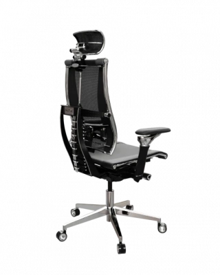 Кресло Yoga Spine Triumph B2 — фото, характеристики, наличие в Сыктывкаре