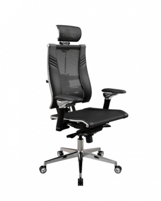 Кресло Yoga Spine Triumph L2 (M06) — фото, характеристики, наличие в Сыктывкаре