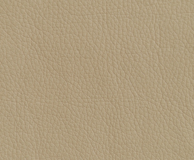 Диван 2-местный, Бизнес, Bu2-2, oregon_02, кожзам