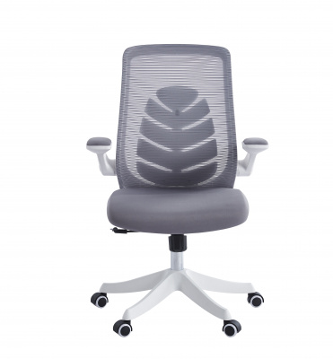 Офисное кресло Chairman CH565 белый пластик, серый, купить в Сыктывкаре