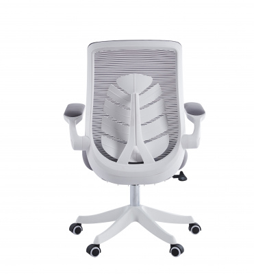 Офисное кресло Chairman CH565 белый пластик, серый, купить в Сыктывкаре
